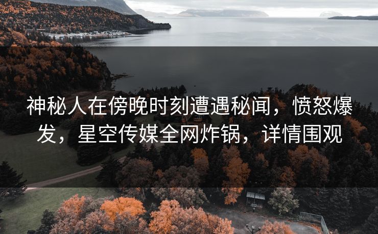 神秘人在傍晚时刻遭遇秘闻，愤怒爆发，星空传媒全网炸锅，详情围观